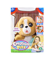 Emotion Pets Evcil Hayvanlar Sarı Köpek