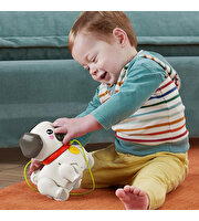 Fisher Price Sesli Minik Dostumla Yürüyüş HTW94