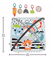 Fisher Price Neşeli Hayvanlar 3'ü 1 Arada Jimnastik Merkezi HBP41