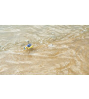 Silverlit 3’ü 1 Arada Flybotic Aqua Blaze Kumandalı Helikopter