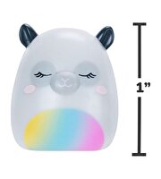 Squishmallows Squish-a-Longs 2'li Sürpriz Paket Seri 3
