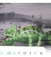 Animal World Sürüngen Serisi