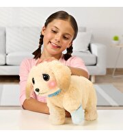 LLP Yavru Köpek İyileşiyor 26679