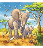 Ravensburger Wild Animals Puzzle 49x3 Parça