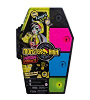 Monster High Gizemli Arkadaşlar 3.Seri Frankie Stein HNF79
