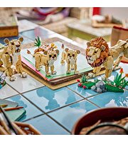 LEGO Creator 3’ü 1 Arada Vahşi Hayvanlar: Görkemli Aslan 31386
