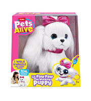 Pets Alive Yürüyen Köpeği̇m