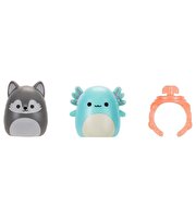 Squishmallows Squish-a-Longs 2'li Sürpriz Paket Seri 3