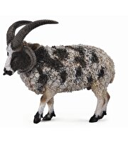 Collecta Jacob Koyunu