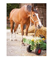 BIG Fendt Ekipman Taşıyıcı Çocuk Traktörü
