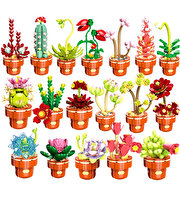 Mega Bitki Çiçekleri Kaktüs 181 Parça