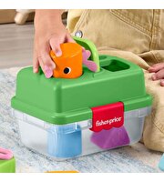 Fisher Price Arkadaşlık Ormanı Şekil Eşleştirme Kutusu JLB85