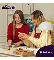 OKTO Succulents Energy 3D Duyusal Sanat Seti