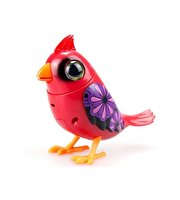 Digibirds Tek Paket Seri 1 Kırmızı