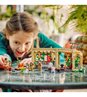 LEGO Harry Potter Hogwarts Şatosu: Bitkibilim Dersi 76445