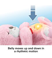 Fisher Price Uyku Arkadaşı Su Samuru Pembe JLJ33