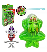 Kurbağa Laboratuvar Seti