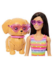 Barbie Paten Eğlencesi ve Sevimli Köpek Oyun Seti JMJ45