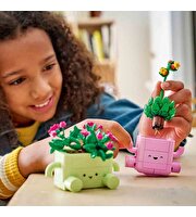 LEGO Botanicals Sallanan Bitkiler 11506
