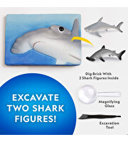 National Geographic Köpek Balığı Bulma Kiti Trhamshdig