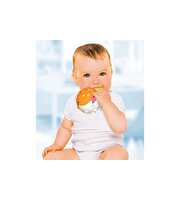 ABC Renkli Sensörlü Balık