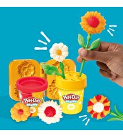 Play Doh Sunflowers & Daisies Flower Oyun Seti G2476
