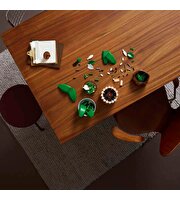 LEGO Botanicals Barış Çiçeği 11504