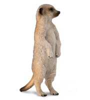 Collecta Mirket Ayakta