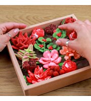 OKTO Succulents Passion 3D Duyusal Sanat Seti