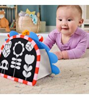 Fisher Price Eğlenceli Kirpi Ayna JHB45
