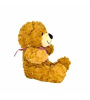 Fularlı Peluş Ayıcık 22 cm.