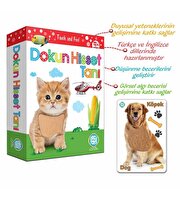 Dokun Hisset Tanı Eğitim Kartları