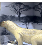 Animal World Sürüngen Serisi