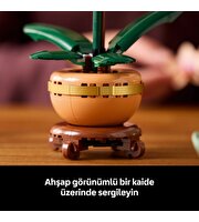 LEGO Botanicals Mini Orkide 10343