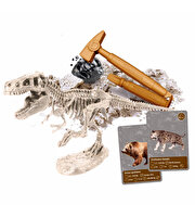 Clementoni Bilim ve Oyun: Dünyada Yaşamın Tarihi