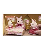 Sylvanian Families Başlangıç Evi Seti