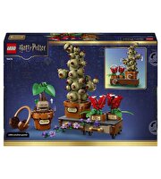 LEGO Harry Potter Hogwarts Bitkibilim Bitkileri 76474