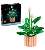 LEGO Botanicals Barış Çiçeği 11504