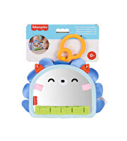 Fisher Price Eğlenceli Kirpi Ayna JHB45