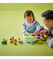 LEGO Duplo Şekil Ayırıcı: Köpek Evi 10441