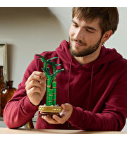 LEGO Botanicals Şans Bambusu 10344