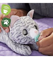 Yenidoğan Minik Dostum Kedicik F4087