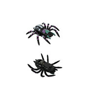 Tırmanabilen Tarantula