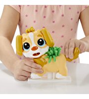 Play Doh Veteriner Seti F3639