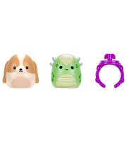 Squishmallows Squish-a-Longs 2'li Sürpriz Paket Seri 3