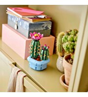 LEGO Botanicals Çiçekli Kaktüs 11509