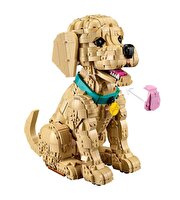 LEGO Icons Yavru Golden Retriever 11384