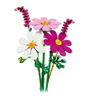 LEGO Botanicals Kozmos Çiçekleri 11514