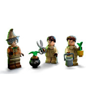 LEGO Harry Potter Hogwarts Anısı Bitkibilim Dersi 76384