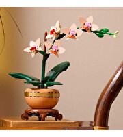 LEGO Botanicals Mini Orkide 10343